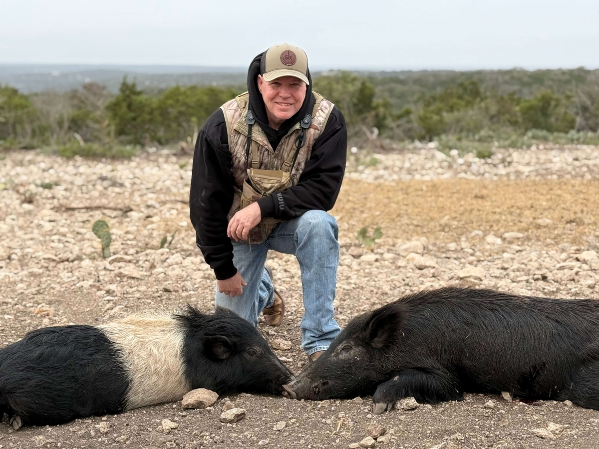 Hog Hunting Hog Hunting